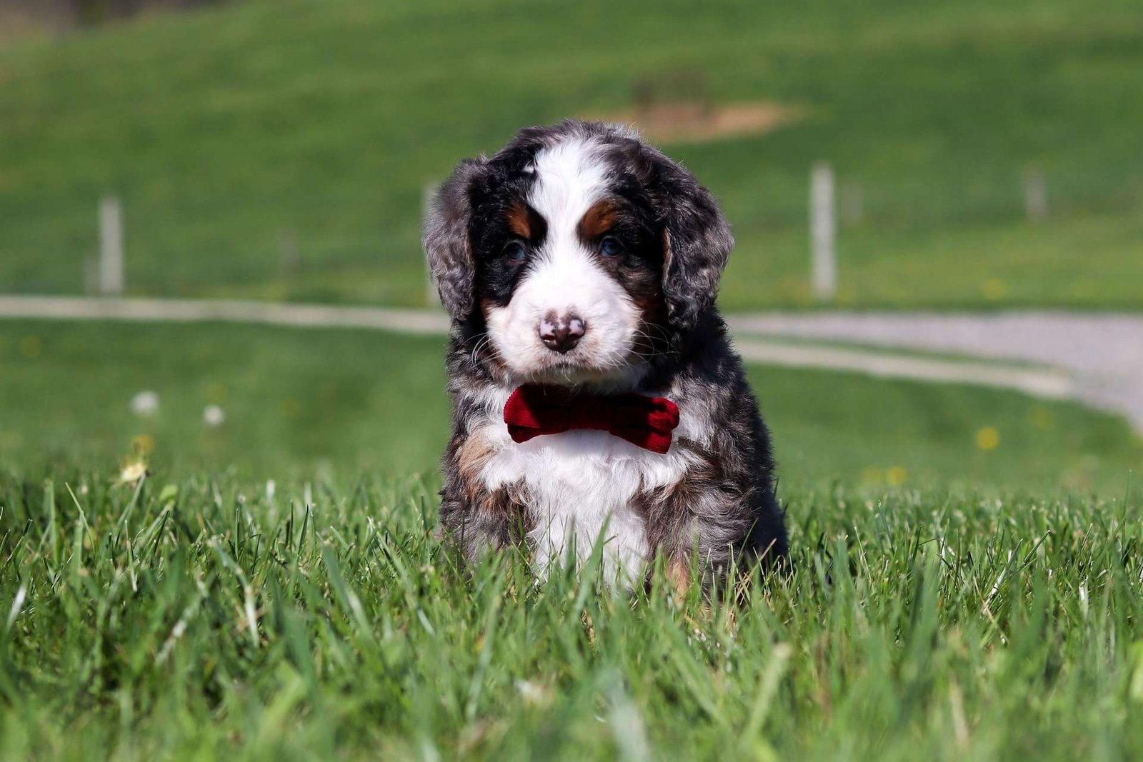 Baxter