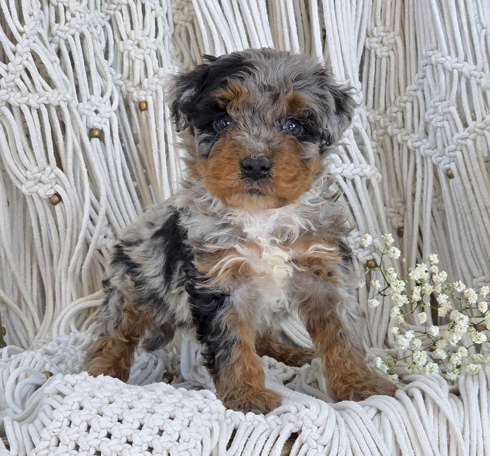 Winnie