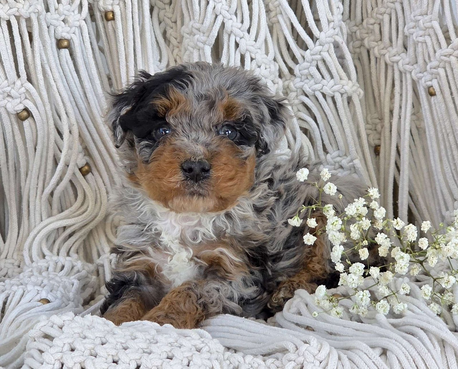 Winnie